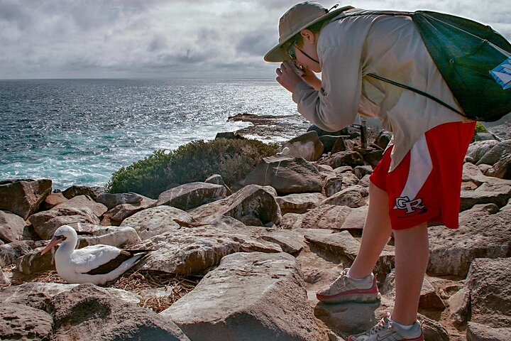 Full Day Seymour North Island & Las Bachas  - Photo 1 of 10